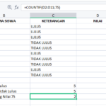 penggunaan countif pada spreadsheet #3