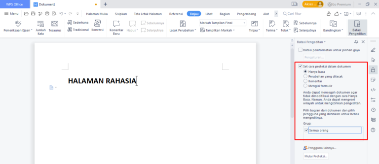 membuat proteksi dokumen di wps office pc #3