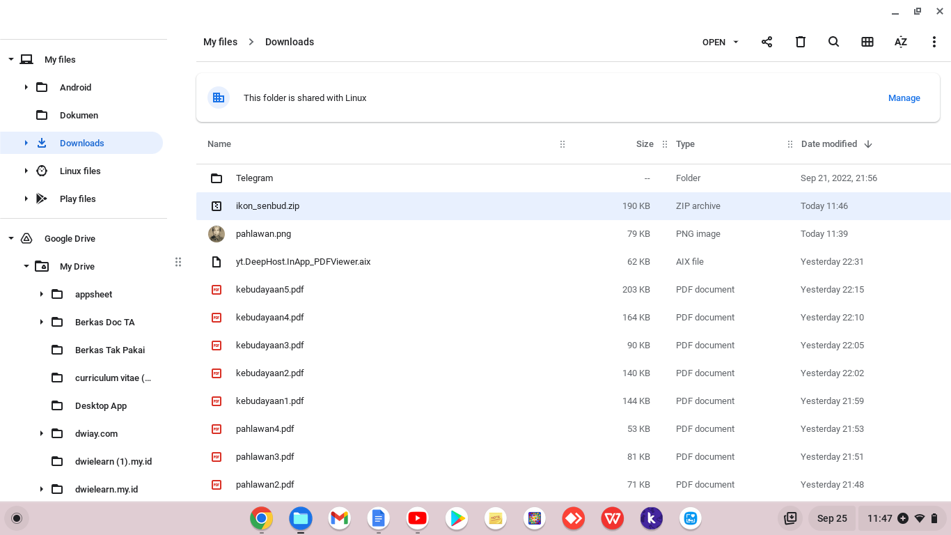 Cara Extract File ZIP atau RAR tanpa Aplikasi di Laptop Chromebook ...