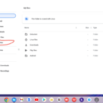 Cara-Mengakses-Play-Files-Sepenuhnya-di-Chromebook-001