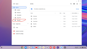 Cara-Mengakses-Play-Files-Sepenuhnya-di-Chromebook-001