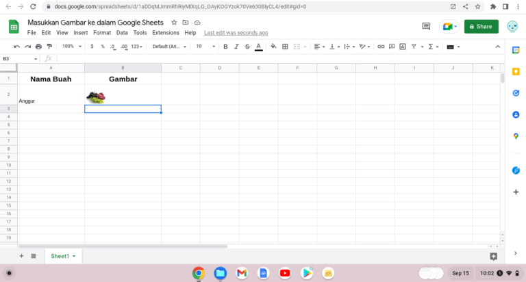 Cara-Menggunakan-Formula-IMAGE-di-Google-Sheets-004